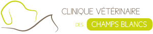 Joigny en Yonne (89) Logo